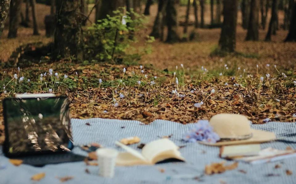 Sound Bath and Journaling in Mountain View Park