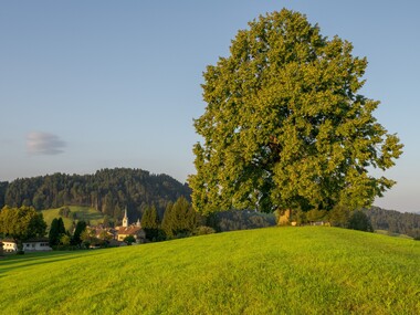Sonnenberg Health Hotel