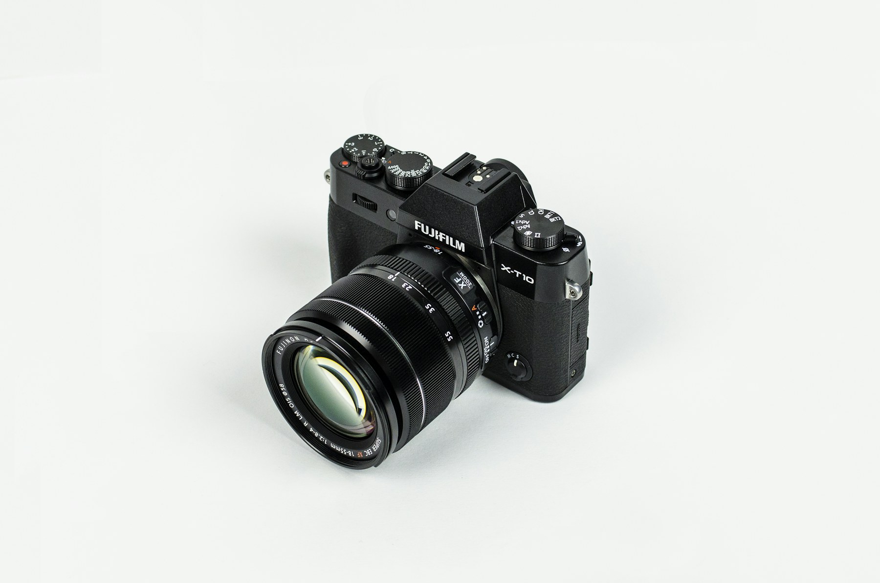 Photograph and Film NetAP Animal-Welfare Assignments