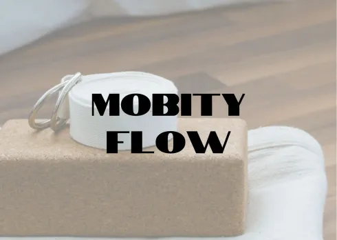 Mobility Flow